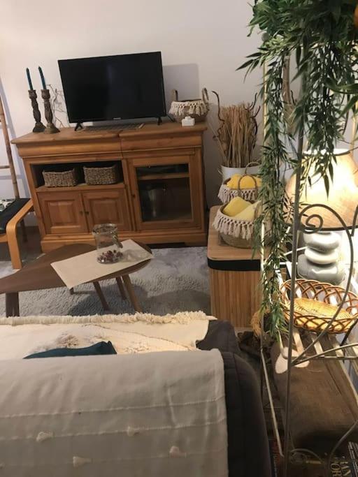 Appartement Harmony Of Nature - 4 Pers - Near Eurexpo And Groupama Stadium